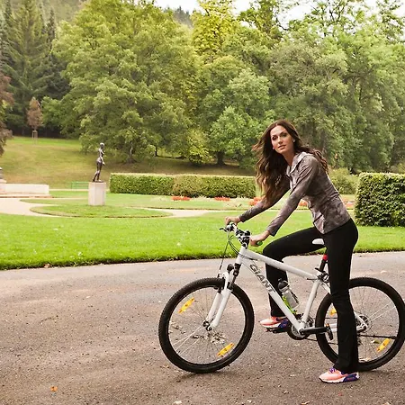 Belvedere Wellness 4*